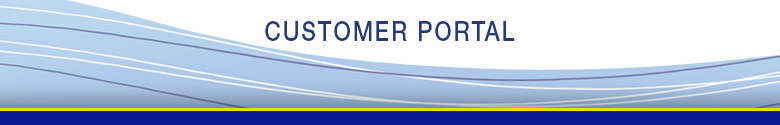 customer portal